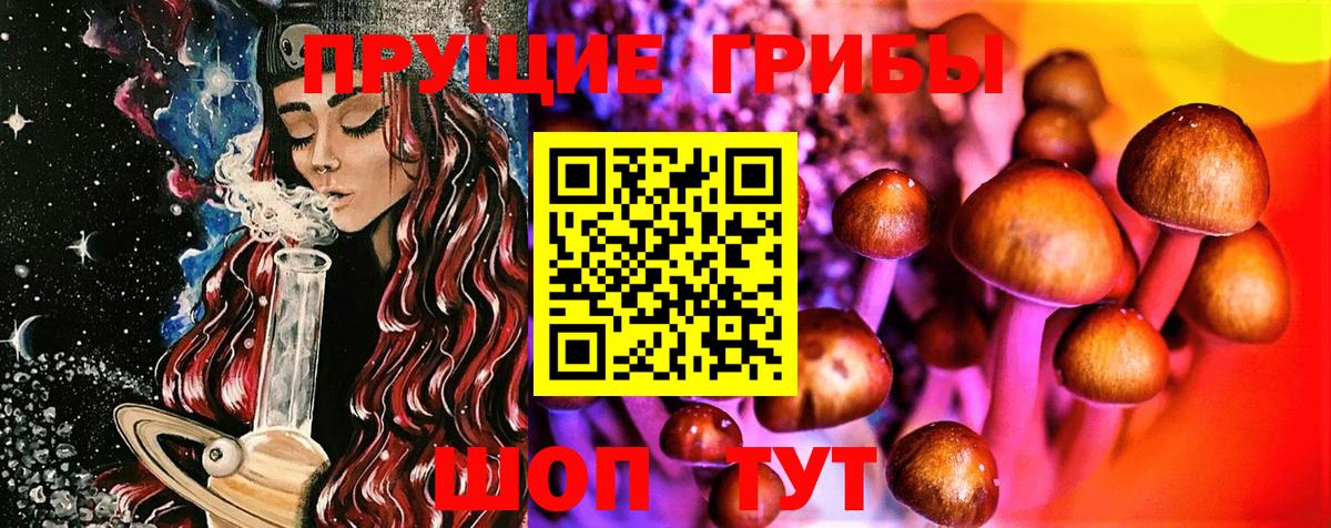 Ишимбай  Галлюциногенные грибы Psilocybine cubensis  Вход с VPN  Галлюциногенные грибы Cubensis 